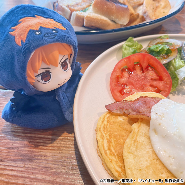 るかっぷ ポンチョ ヒナガラス