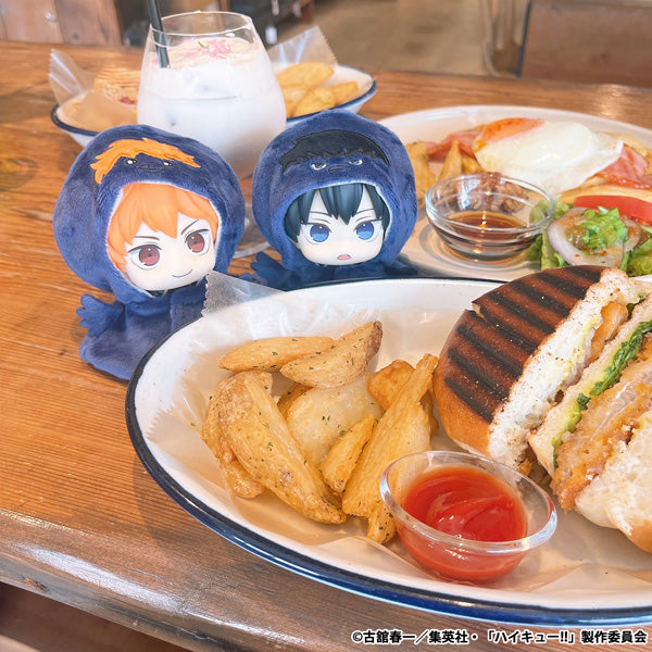 るかっぷ ポンチョ ヒナガラス