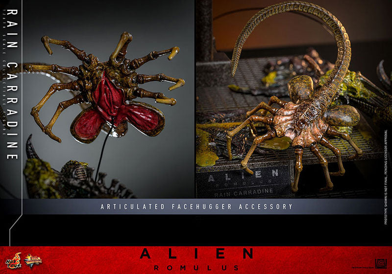 ムービー・マスターピース レイン・キャラディン 1/6スケール
