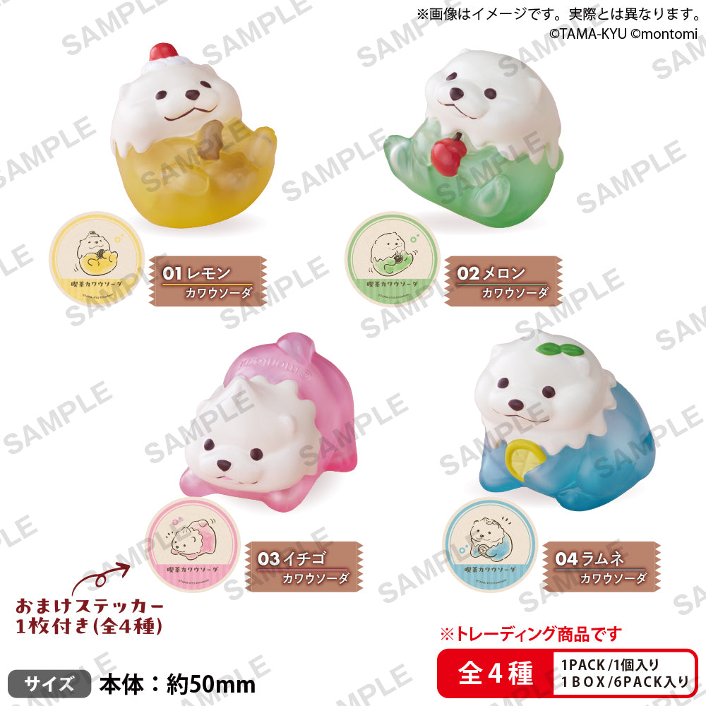 新品未開封】SOYOディスカバーフルセット 大きい （10本＋ケース付 
