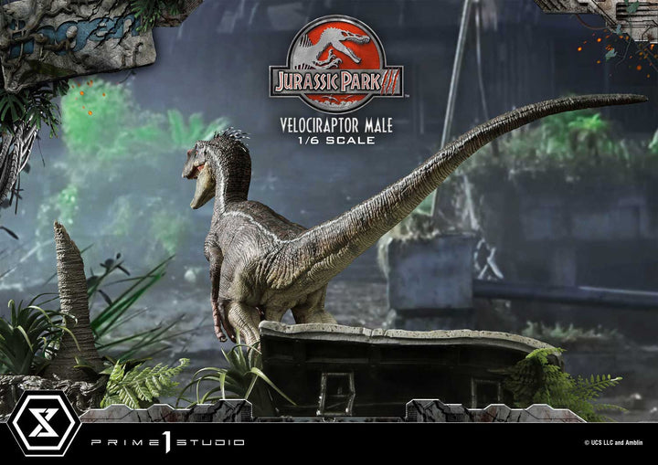 レガシーミュージアムコレクション ヴェロキラプトル 雄 1/6スケール