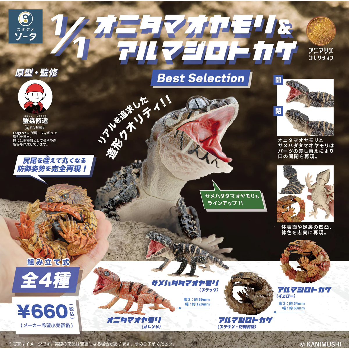 WITH ダンプリチケ　アゲアゲアイテム　マガジンチケ　まとめ売り Mother garden（マザーガーデン） しろたん チケットファイル