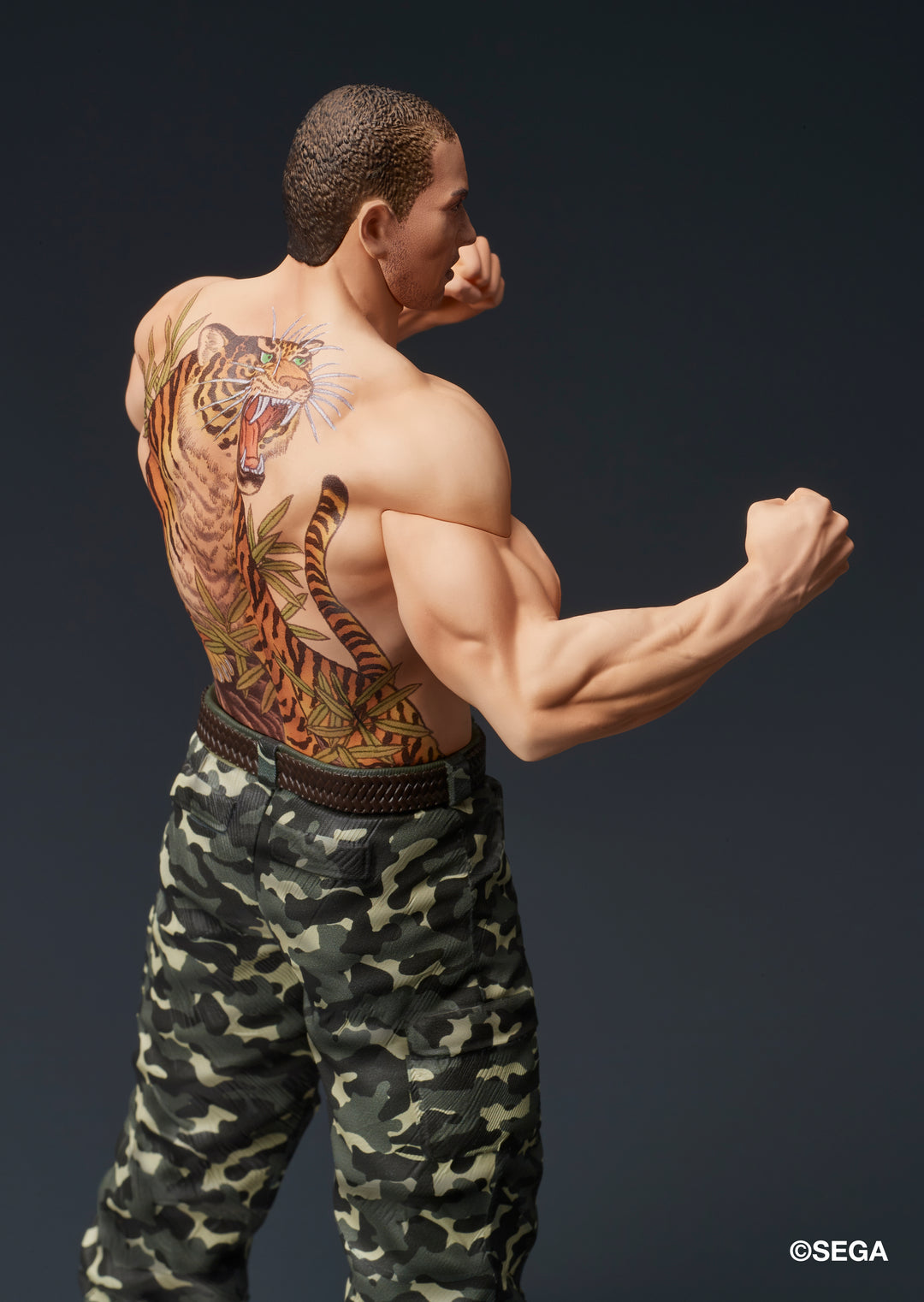 DIGSTA 冴島大河-激闘-