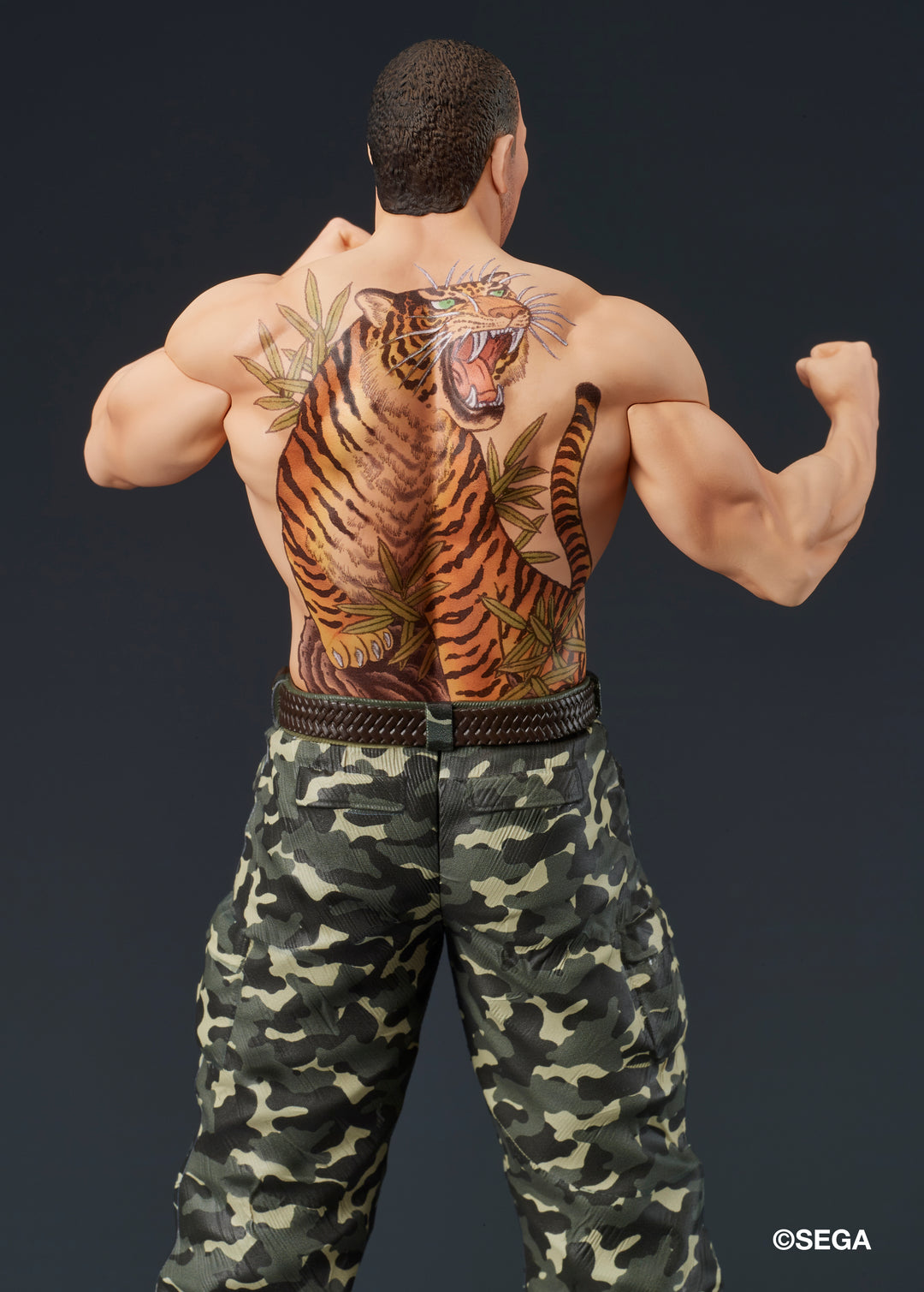 DIGSTA 冴島大河-激闘-