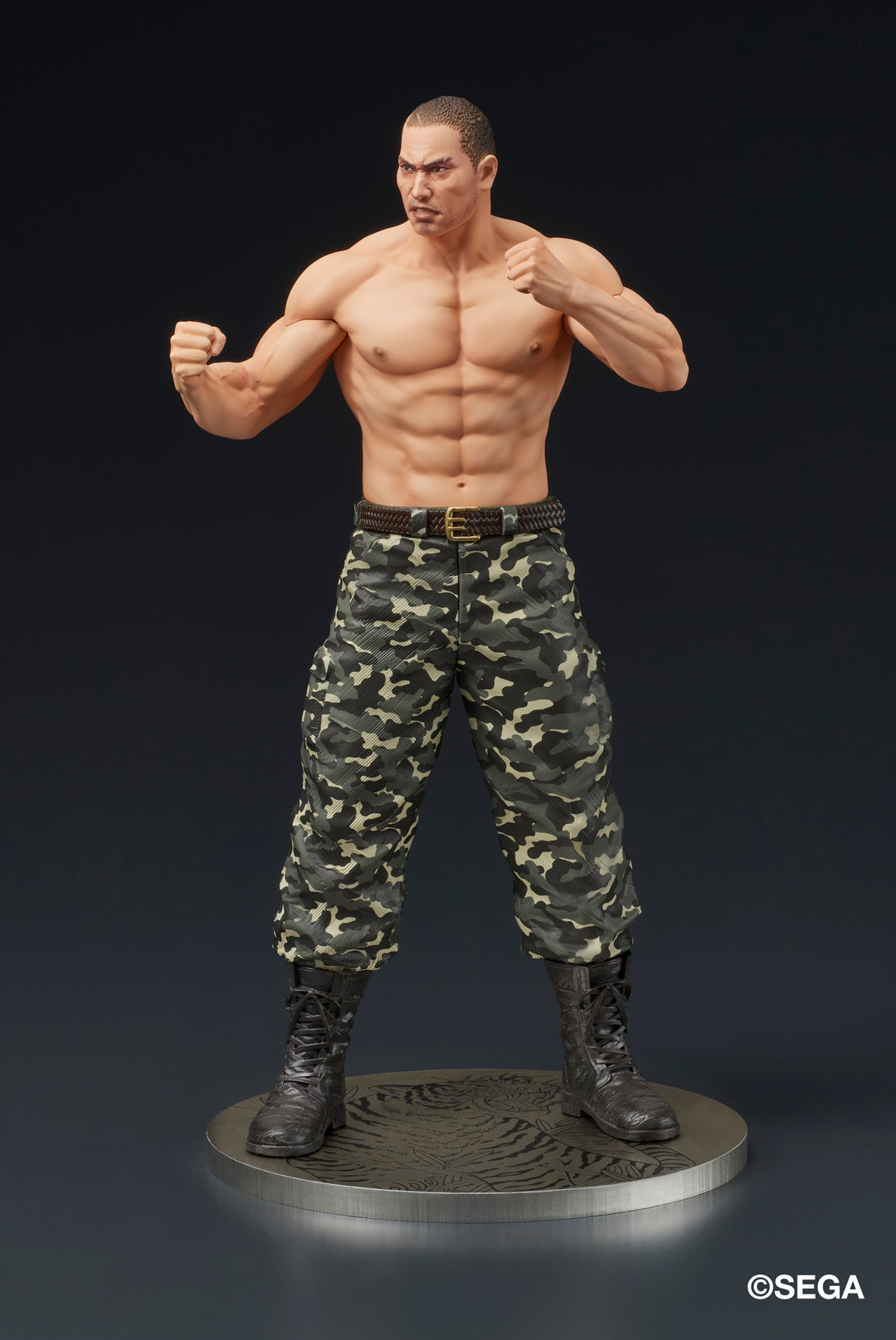 DIGSTA 冴島大河-激闘-