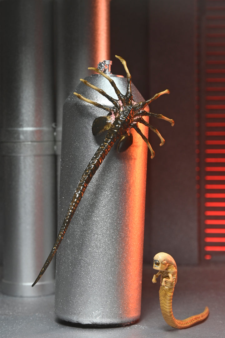 ロムルス/ ゼノモーフXX121 アルティメット 7インチ アクションフィギュア