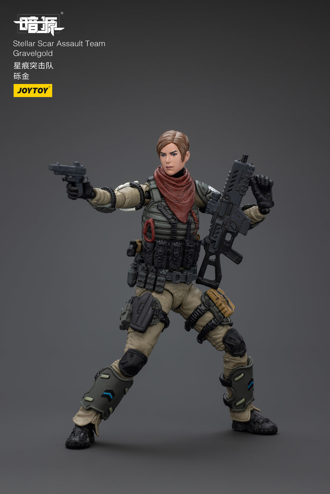 ステラー・スカー強襲隊 グラベルゴールド 1/25スケール