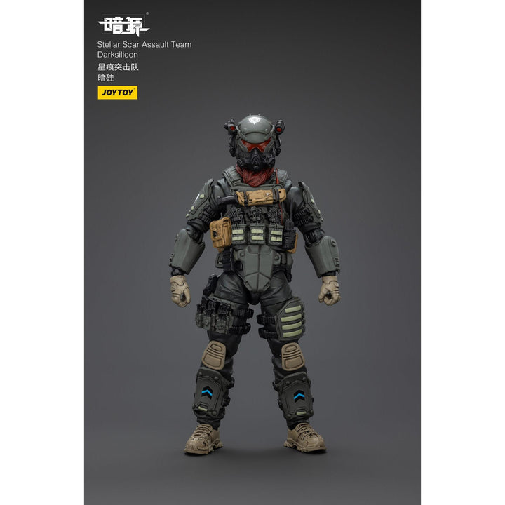 ステラー・スカー強襲隊 ダークシリコン 1/25スケール