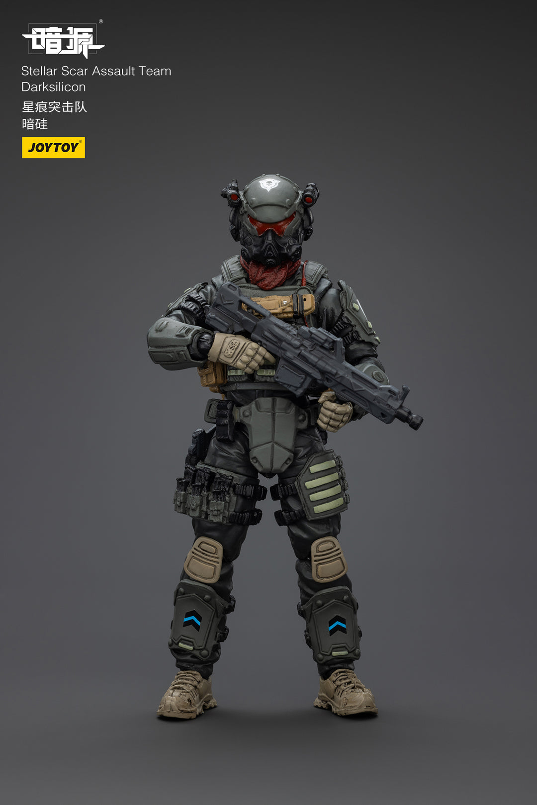 ステラー・スカー強襲隊 ダークシリコン 1/25スケール