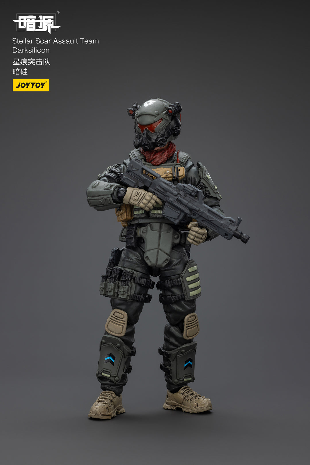 ステラー・スカー強襲隊 ダークシリコン 1/25スケール