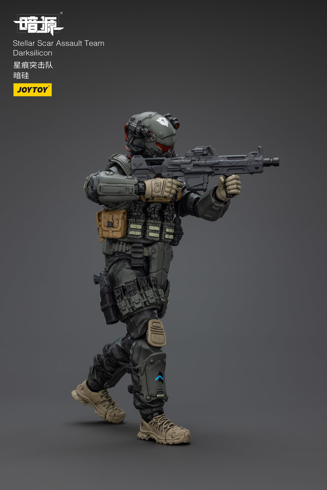 ステラー・スカー強襲隊 ダークシリコン 1/25スケール