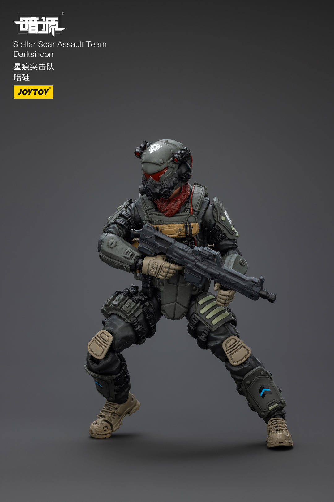ステラー・スカー強襲隊 ダークシリコン 1/25スケール