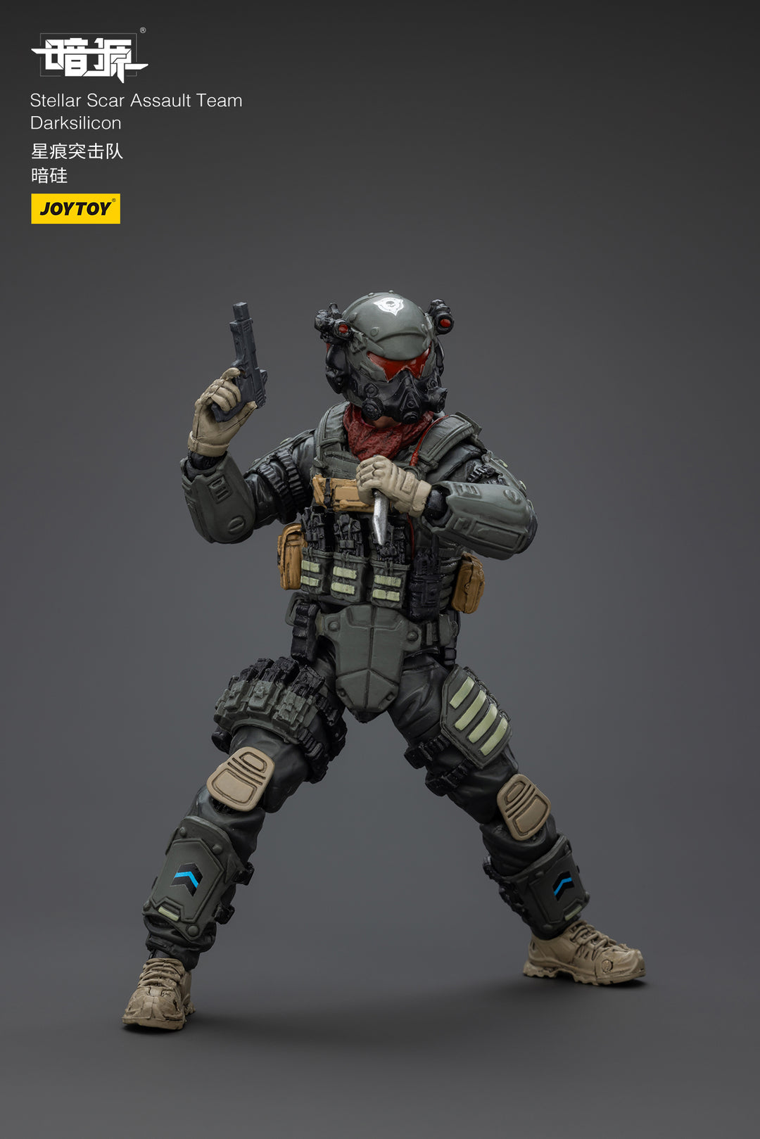 ステラー・スカー強襲隊 ダークシリコン 1/25スケール