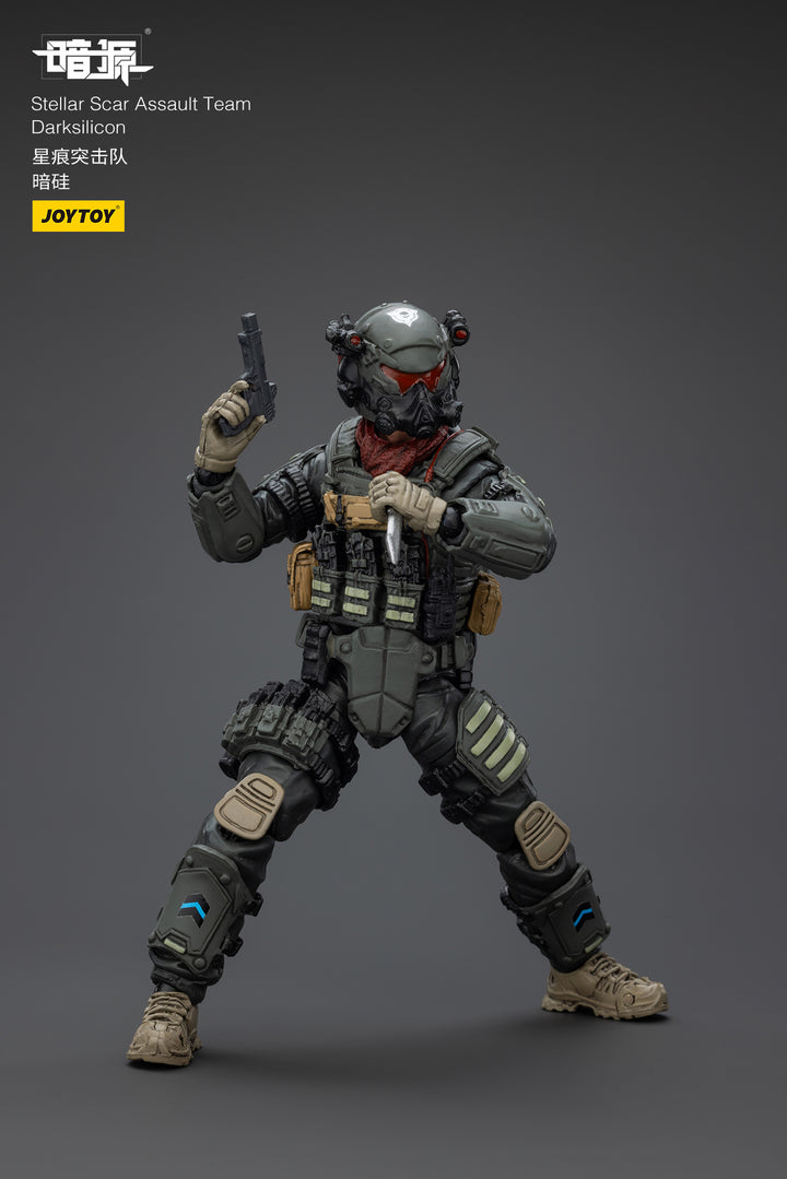 ステラー・スカー強襲隊 ダークシリコン 1/25スケール