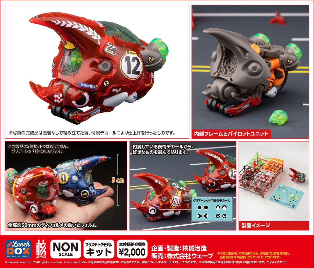 大兜丸 Dynastes クリアーレッド