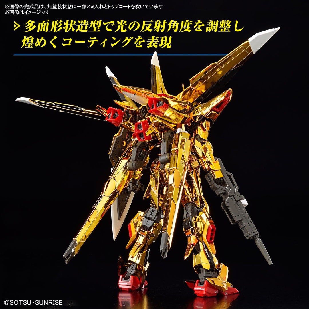 RG 1/144 アカツキガンダム(オオワシ装備)