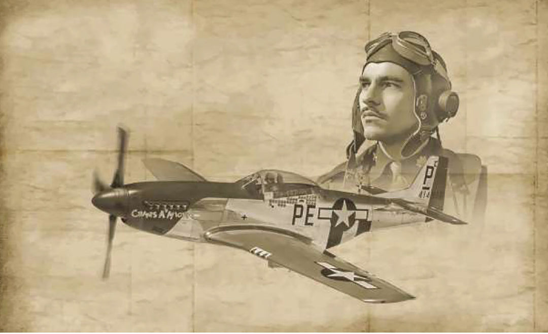 1/72 WW.II アメリカ軍 P-51Dマスタング エース