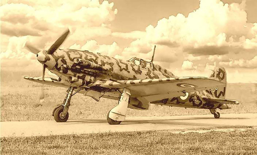 1/32 WW.II イタリア空軍 マッキ MC.205 ベルトロ(日本語対訳補足説明書付属)