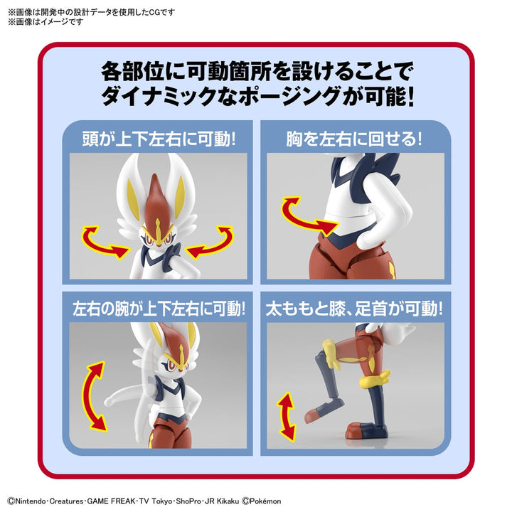 ポケプラセレクトシリーズ エースバーン