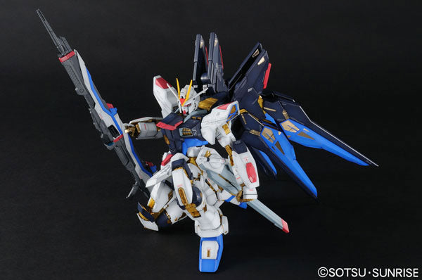 ストライクフリーダム PG 1/60スケール 色分け済み組立キット – SOOTANG