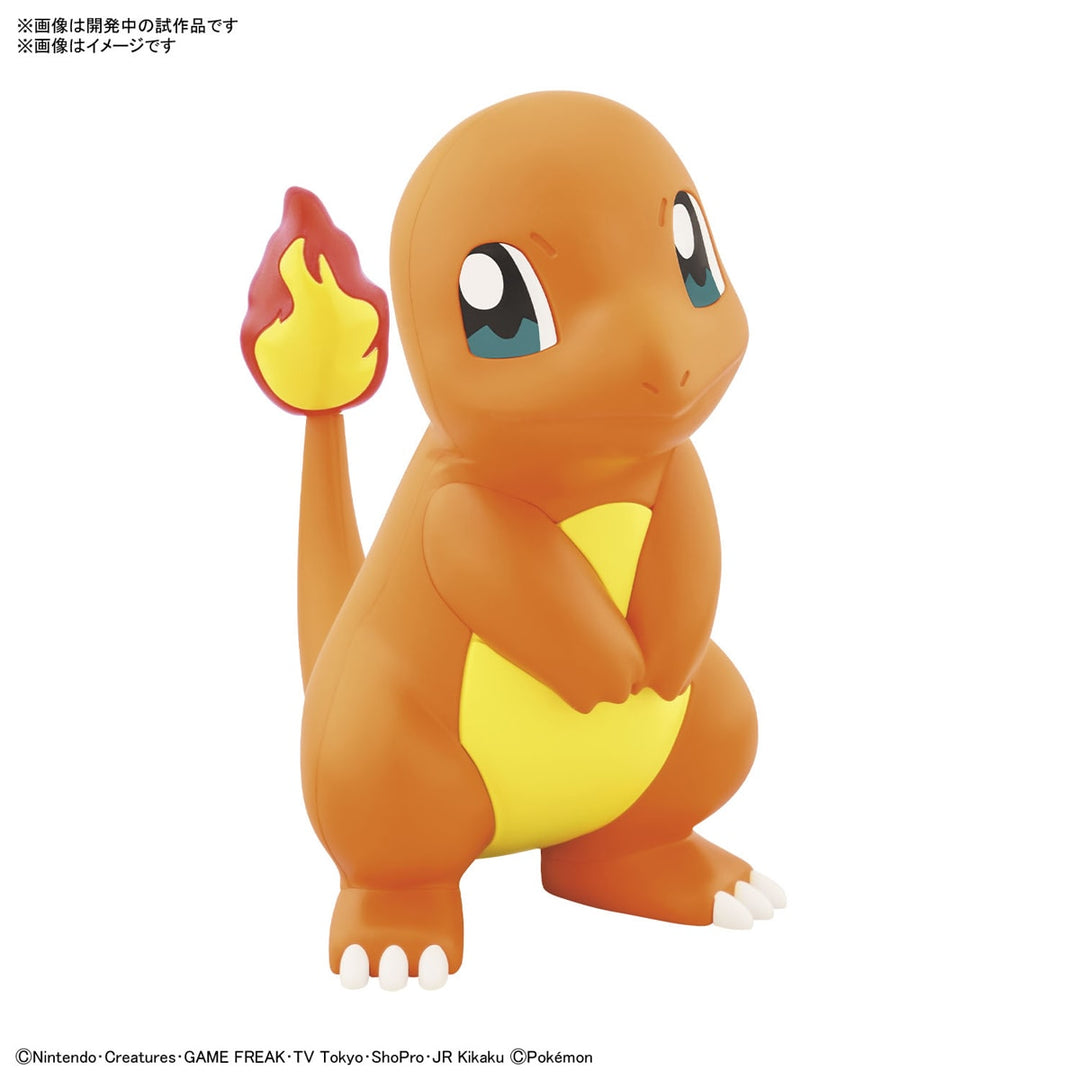 ポケプラクイック!! 11 ヒトカゲ