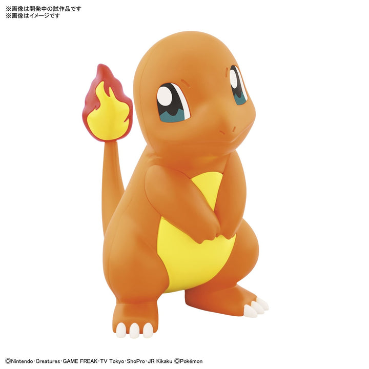 ポケプラクイック!! 11 ヒトカゲ