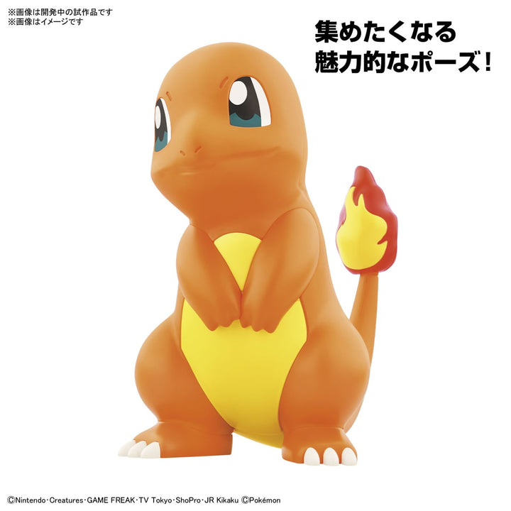 ポケプラクイック!! 11 ヒトカゲ