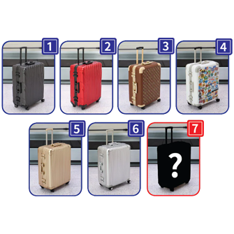[BOX販売]キャリーケースB -6個入りBOX-