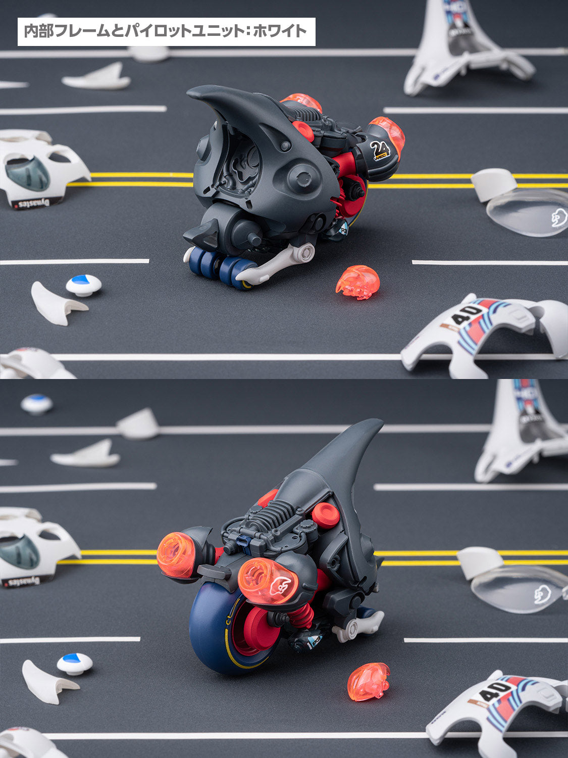 大兜丸 Dynastes ホワイト – SOOTANG HOBBY