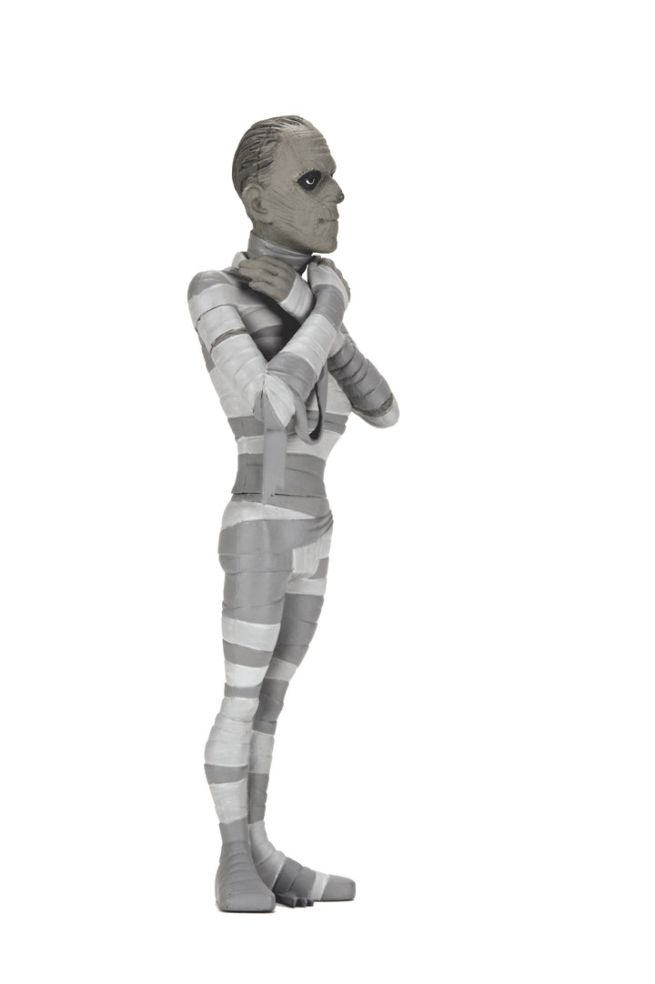 トゥーニーテラーズ ユニバーサルモンスターズ スタイライズド 6インチ アクションフィギュア 4種セット（シルバースクリーン エディション）