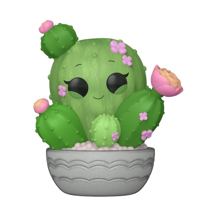 Pop! Plants バレルカクタス