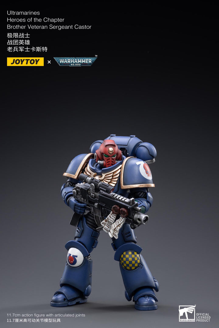 ウルトラマリーン ヒーローズ オブ チャプター ベテランサージェント カスター 1/18スケール