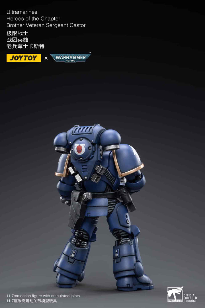 ウルトラマリーン ヒーローズ オブ チャプター ベテランサージェント カスター 1/18スケール