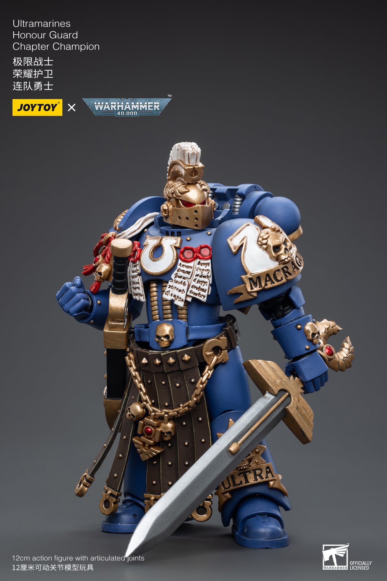 ウルトラマリーン オナーガード チャプター・チャンピオン 1/18