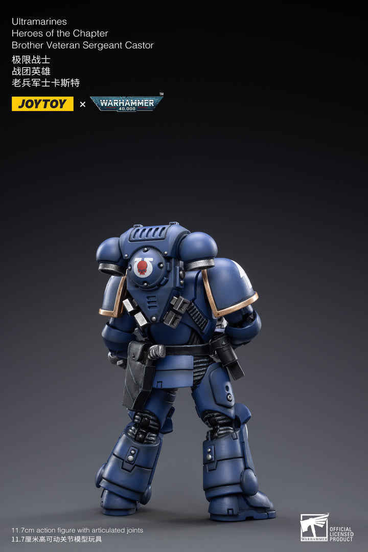 ウルトラマリーン ヒーローズ オブ チャプター ベテランサージェント カスター 1/18スケール
