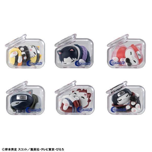 [BOX販売]MEGA CAT PROJECT MEGA CAT PROJECT NARUTO -ナルト- 疾風伝 おやすみニャルト！ -8個入りBOX-