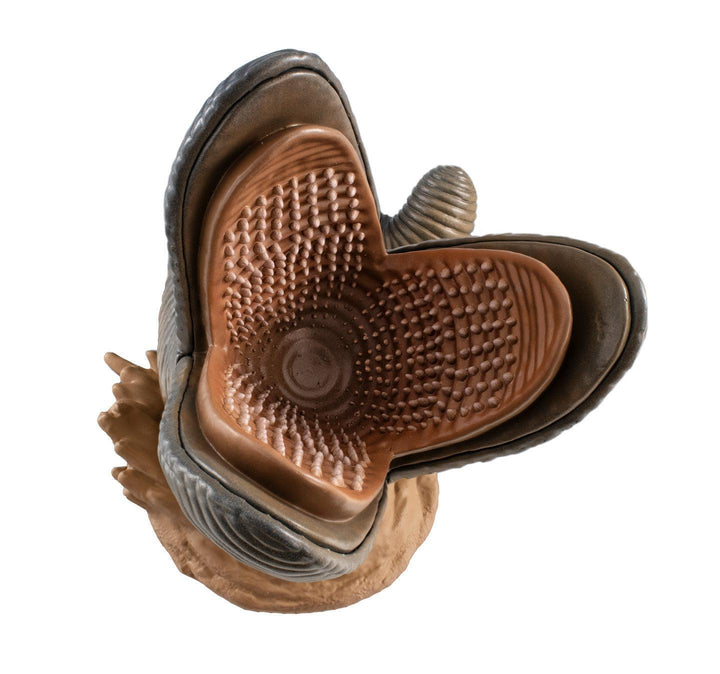 ソフビファンタスティック サンドワーム