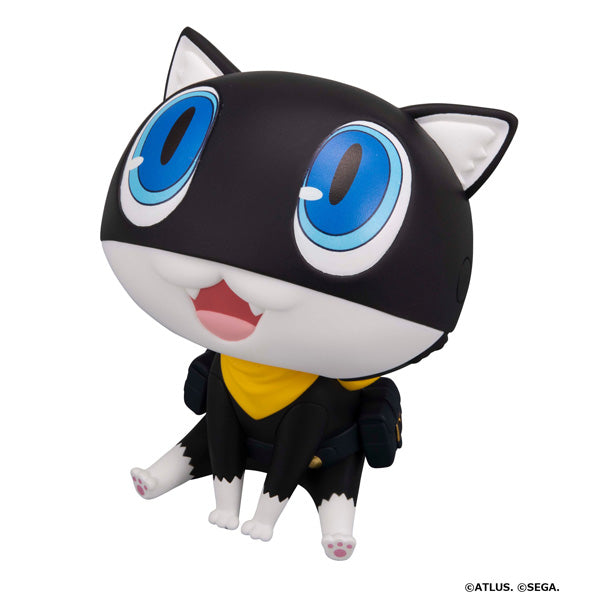 るかっぷ モルガナ
