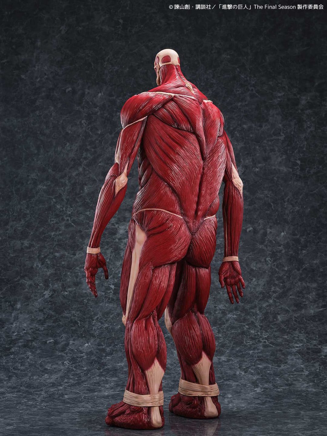 メガソフビ 超大型巨人
