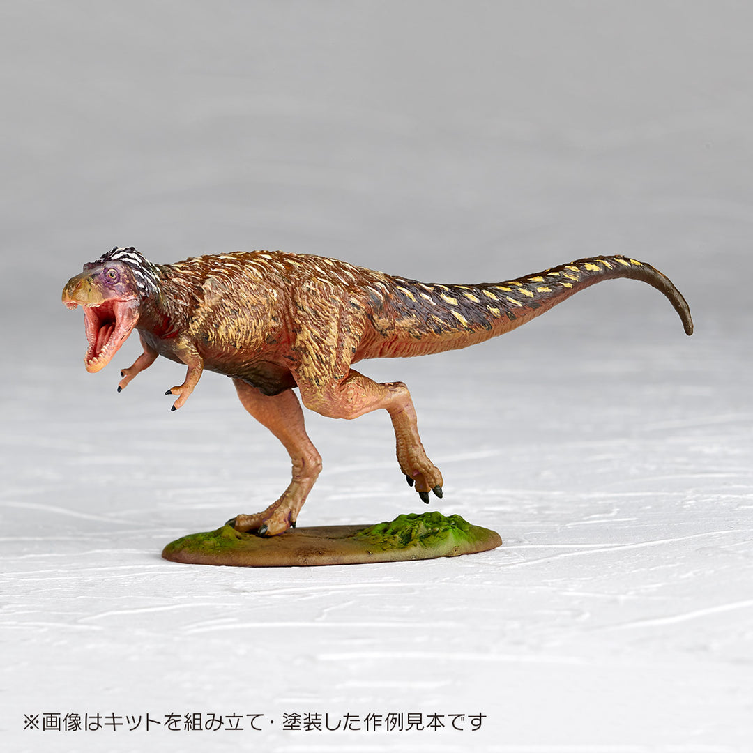 1/35 ARTPLA ティラノサウルス(幼体)