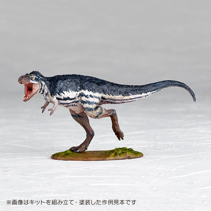 1/35 ARTPLA ティラノサウルス(幼体)