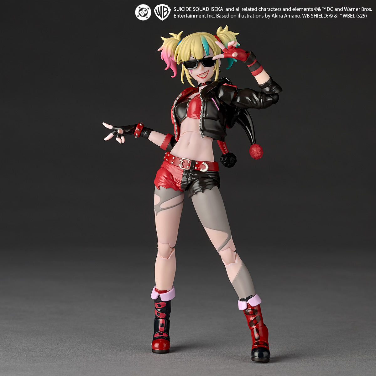 リボルテック アメイジング・ヤマグチ ハーレイ・クイン 異世界