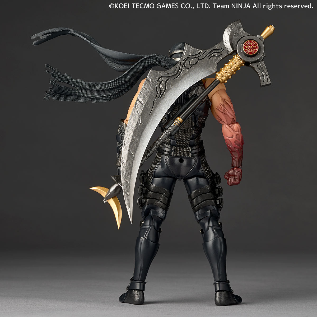新品未開封　特典付き　リボルテックアメイジングヤマグチ　リュウ・ハヤブサ 新品未開封品・特典付】リボルテック アメイジングヤマグチ