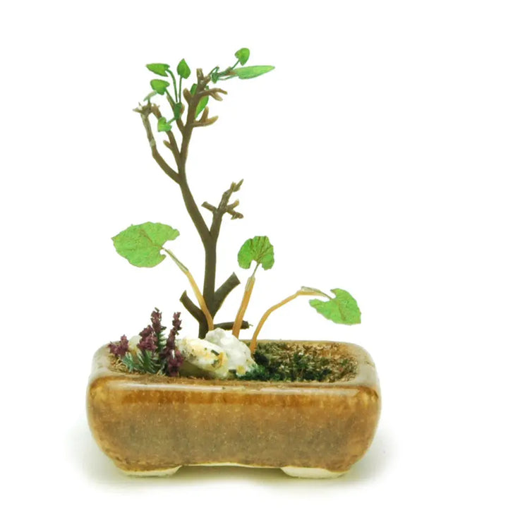 【再販】角鉢寄せ植え【茶】