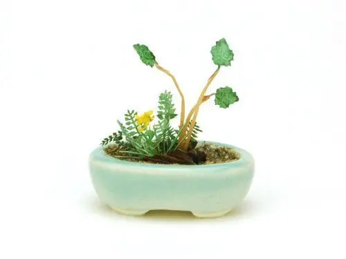 【再販】小判鉢寄せ植え【水色】