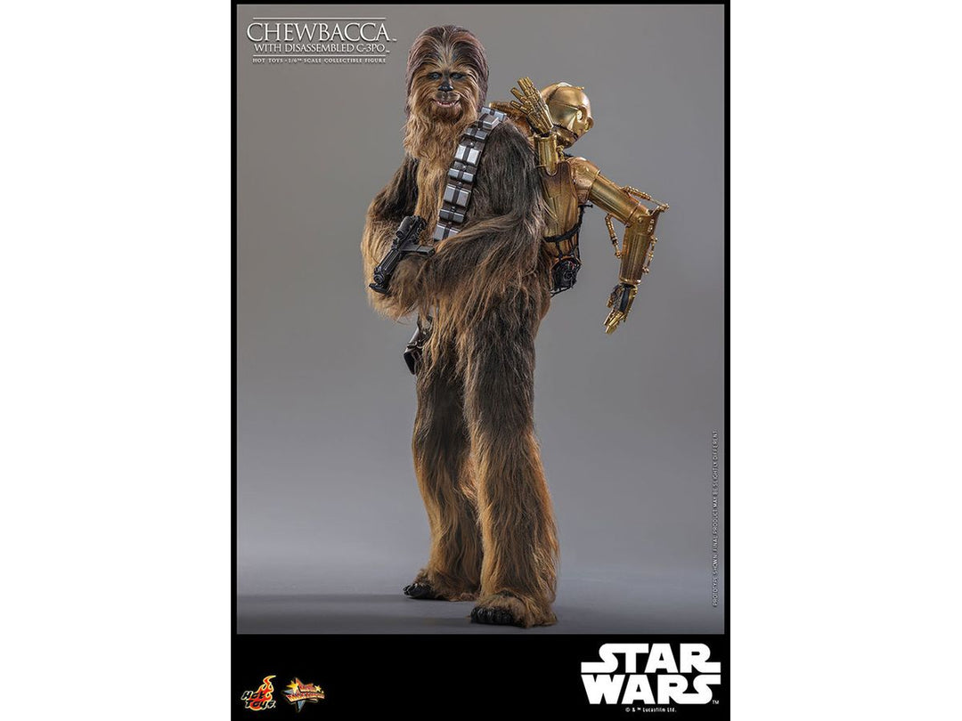 ムービー・マスターピース チューバッカ＆C-3PO（分解） 1/6スケール