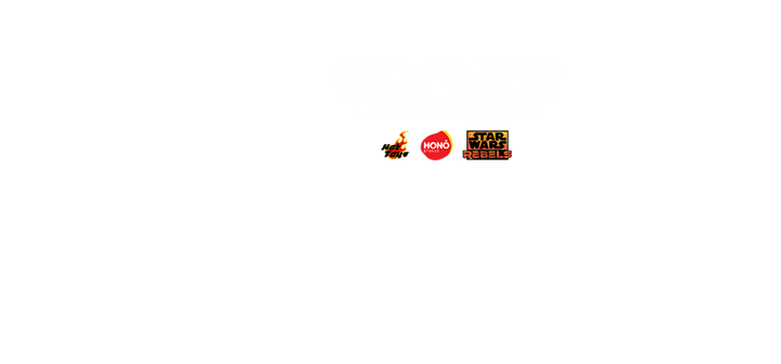 炎スタジオ ストームトルーパー（分隊長） 1/6スケール