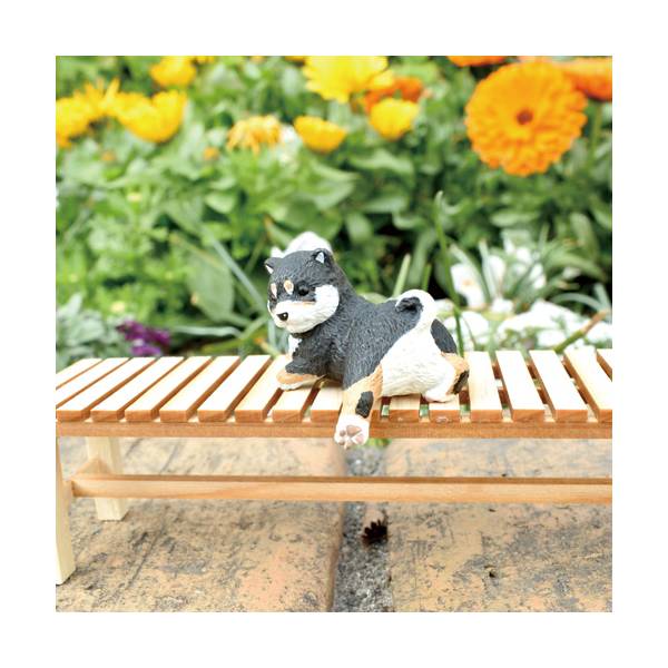 [BOX販売]ふちやすみ 柴犬 -10個入りBOX-