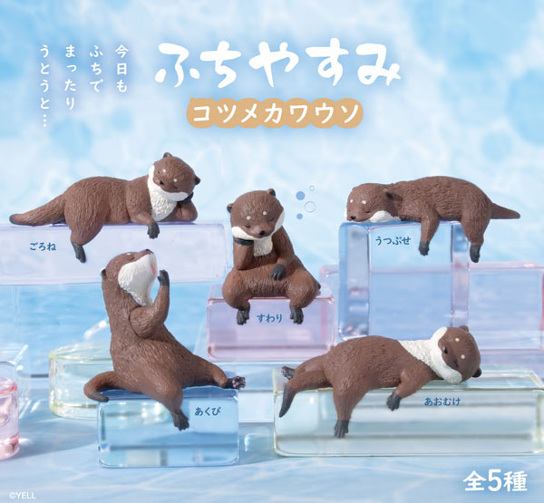 [BOX販売]ふちやすみコツメカワウソ -10個入りBOX-