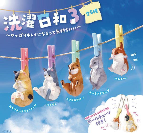 [BOX販売]洗濯日和3 -10個入りBOX-